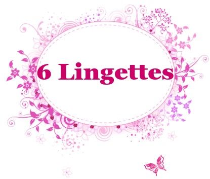 6 Lingettes
